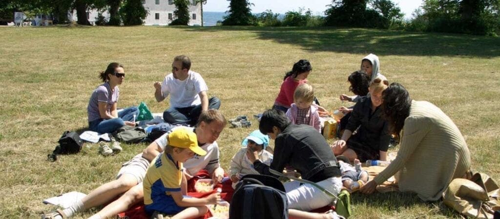 människor som sitter och har picknick på gräset